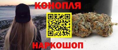 Альфа ПВП Камышлов